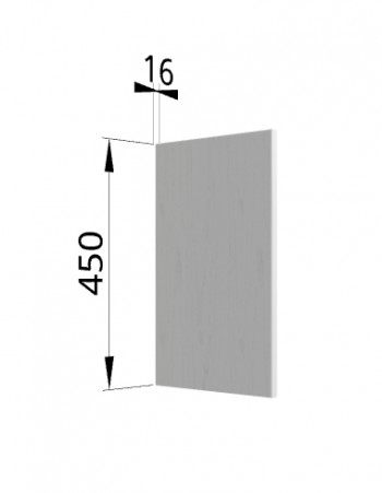 Панель торцевая (для шкафа горизонтального высокого) ВПГ Ройс (Графит софт) в Комарье - komare.mebel54.com | фото